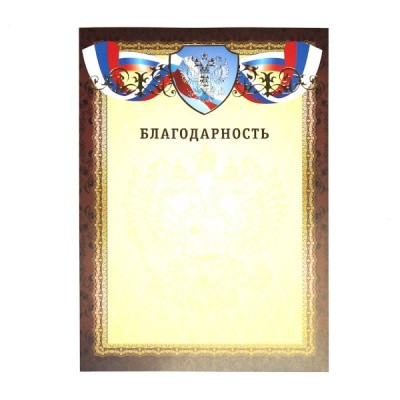 Благодарность, с госсимволикой, А4, 200 г/м2, цв. мел. бумага, тисн. фогльгой. Премиум