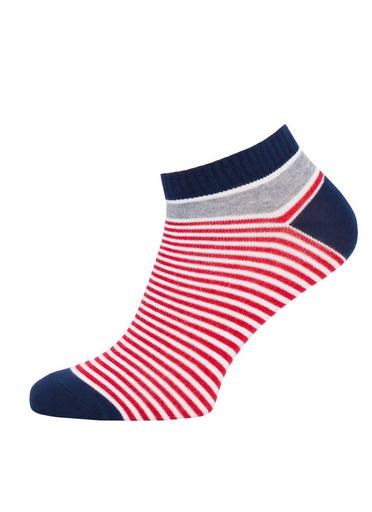 Брестские Носки детские 3087 SCHOOL23-24