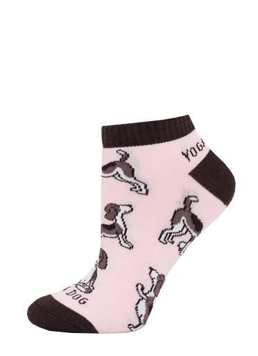 Брестские Носки детские 3087 SCHOOL (с рисунком)23-24