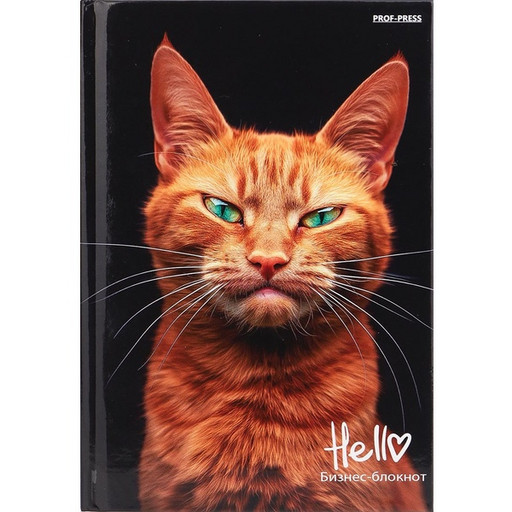 Блокнот в твердом переплете, А6, 80 л., 60 г/м², клетка, глянц. лам., Prof-Press Рыжий котик - 1