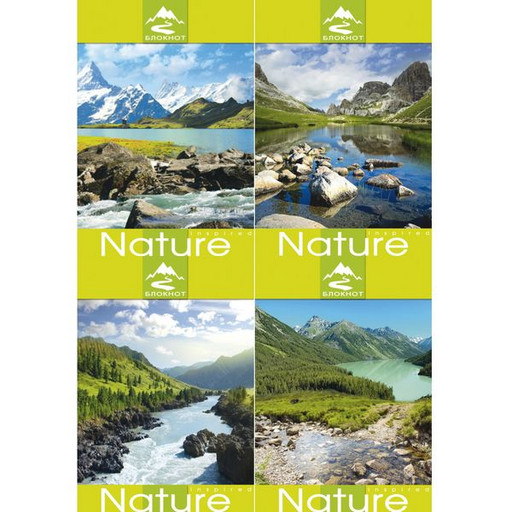 Блокнот на гребне А6, 40 л., клетка, Prof-Press Горный ландшафт, мел. картон, ассорти 4 дизайна