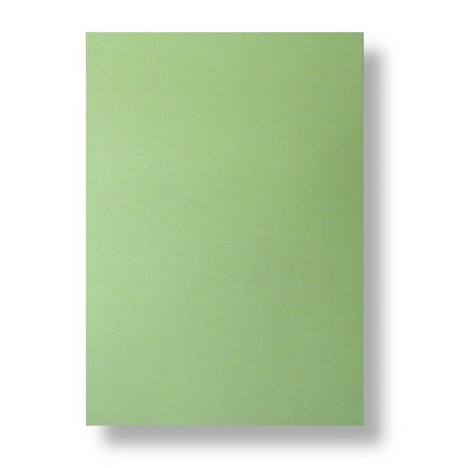 Бумага для пастели А3/160/1 л., цвет: зеленый сок, Lana Colours