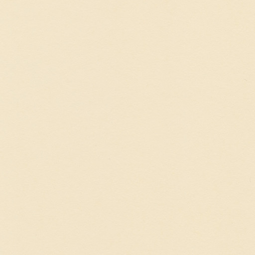 "VISTA-ARTISTA" Бумага цветная MPO-A4 120 г/м2 A4 21 х 29.7 см 50 шт. 27 холодный кремовый/cool cream