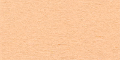 "VISTA-ARTISTA" Бумага цветная TPO-A4 120 г/м2 A4 21 х 29.7 см 50 шт. 42 абрикос (abricot)