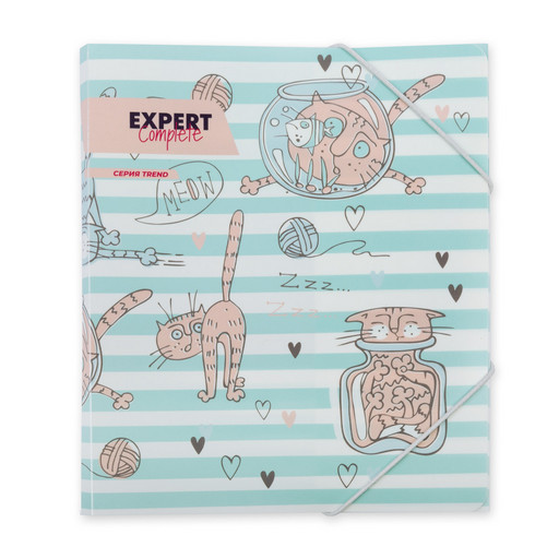 "Expert Complete" Trend Папка на резинке A5 ECRF-05 450 мкм 25 мм песок 6 шт. СК/Распродажа №02 - Кот