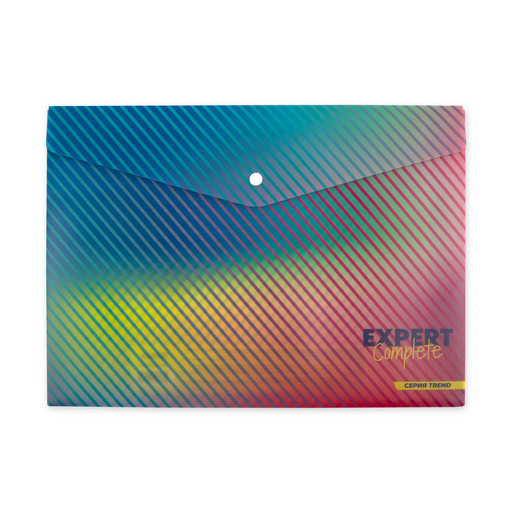 "Expert Complete" Trend "Gradient" Папка-конверт с кнопкой A4 180 мкм песок 20 шт. ECTR-10