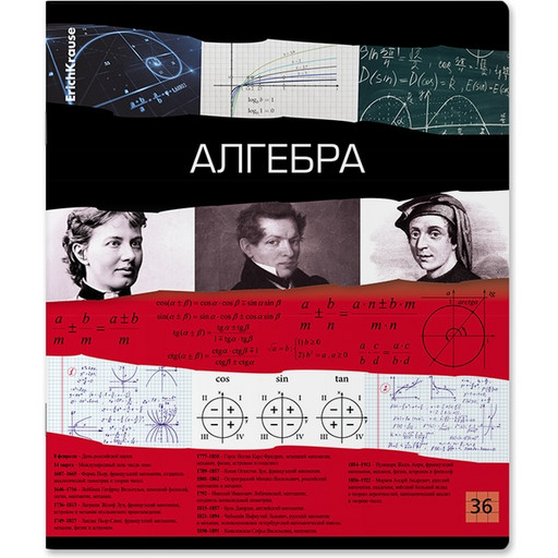 Тетрадь предметная 36 л., клетка, 60 г/м?, обл. мел. картон, ErichKrause Timeline_Алгебра
