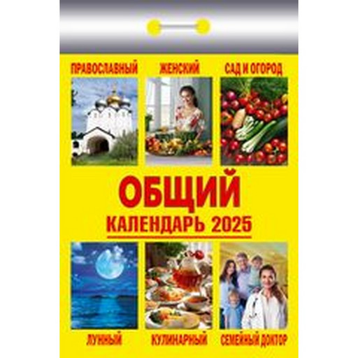 Календарь настенный отрывной мини 2025 г. Общий, 77*114 мм