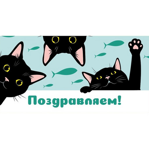 Конверт для денег Поздравляем!(черные котики)