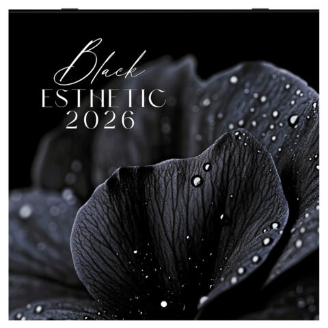 Календарь настенный перекидной 2026 г., BRAUBERG, 12 листов, 28,5х28,5 см, "Black esthetic", 116927