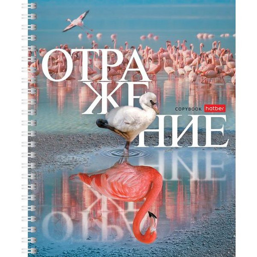 Тетрадь на гребне, 48 л., клетка, Hatber Отражение, с/углы, ассорти 4 дизайна