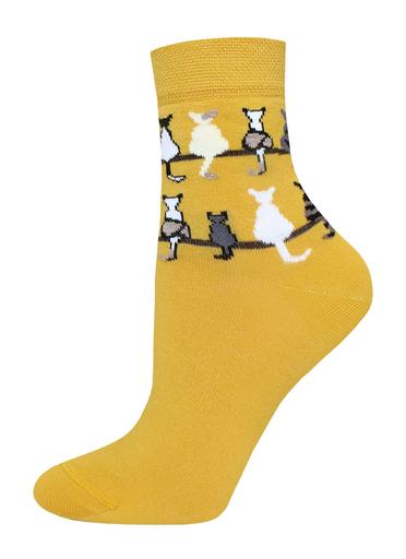 Брестские Носки детские 308123-24