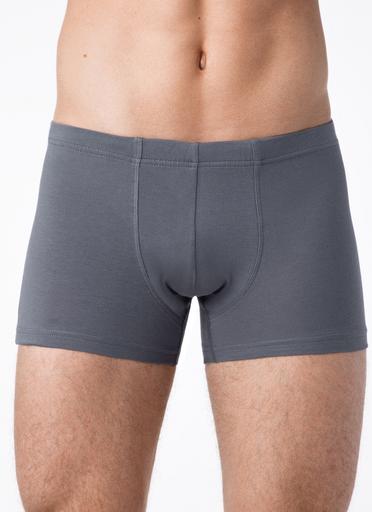 Брестские Трусы мужские ALFA BOXER 16С6300102,106/XL