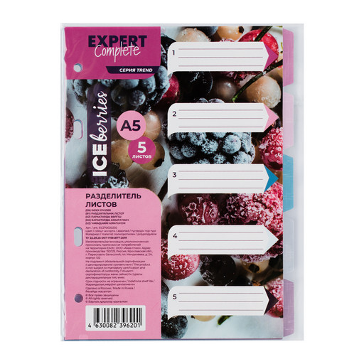 "Expert Complete" Trend ICEberries Разделитель листов пластиковый A5 5 шт. EC270020202 лён ассорти