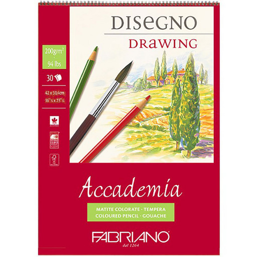 "Fabriano" Альбом для эскизов "Accademia" 200 г/м2 A2 42 х 59.4 см на спирали 30 л. 44204259