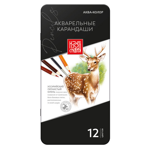 "Аква-колор" "Изостудия" IZO-WCPM12 Набор акварельных карандашей заточенный 2 х 12 цв. в металлической коробке