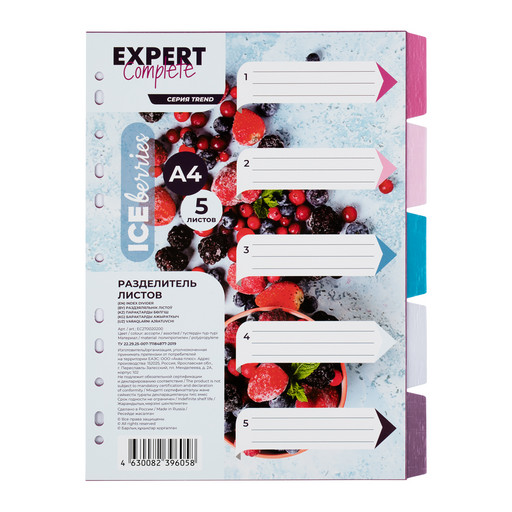 "Expert Complete" Trend ICEberries Разделитель листов пластиковый A4 5 шт. EC270020200 лён ассорти
