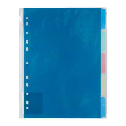 "Expert Complete" Classic Разделитель листов пластиковый A4 5 шт. EC270040200 песок ассорти