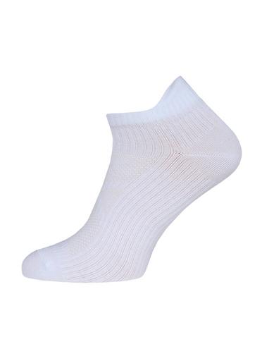 БРЕСТСКИЕ НОСКИ 4207 EVERY (укороченные)36-39