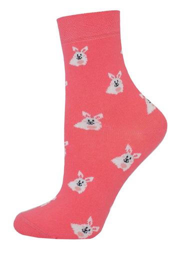 Брестские Носки детские 3081 SCHOOL (с рисунком)23-24