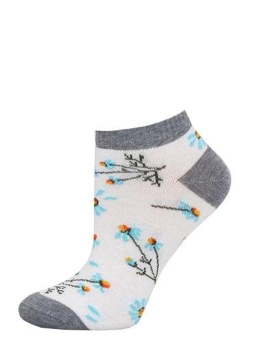 Брестские Носки детские 3087 SCHOOL (с рисунком)19-20