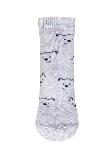 БРЕСТСКИЕ НОСКИ ДЕТСКИЕ 3066 KIDS (рисунок)15-16