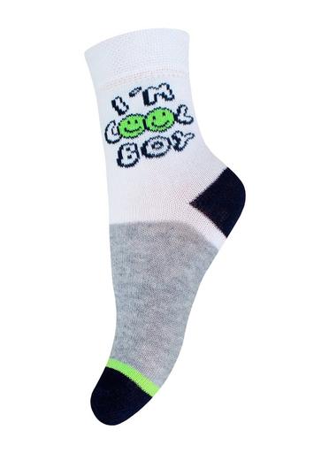 Брестские Носки детские 3081 KIDS (рисунок)15-16