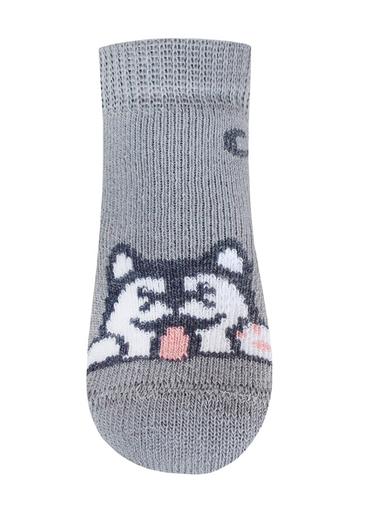 Брестские Носки детские 3060 BABY (рисунок) Брестские Носки детские 3060 BABY (рисунок)