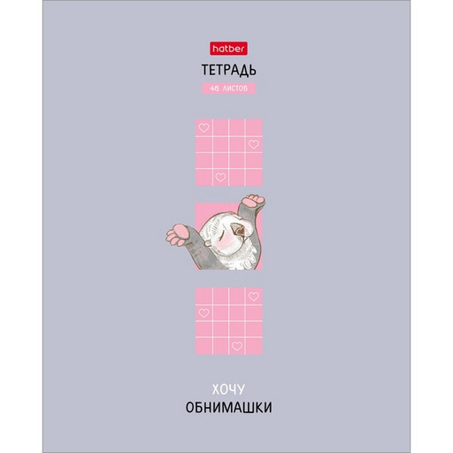 Тетрадь 48 л., клетка, 65 г/м², матовая лам., Hatber Калан Кеша_5 дизайнов