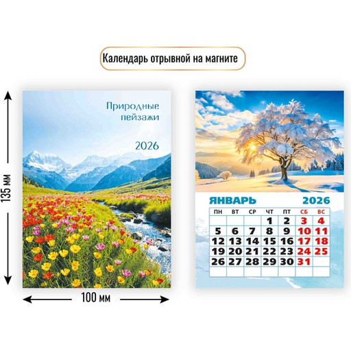 Календарь настенный отрывной 2026 г. Природа: 100*135 мм, магнит. основа