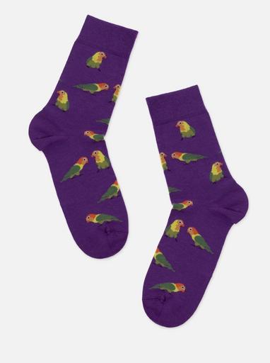 Брестские Носки 4200 PETS (средней длины)36-39