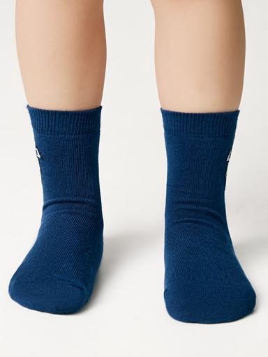 ESLI Носки детские 24С-74СПЕ