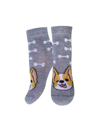 Брестские Носки детские 3081 BABY (рисунок)11-12