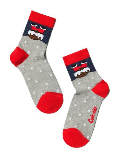 CONTE-KIDS Носки детские (новогодние)20-22