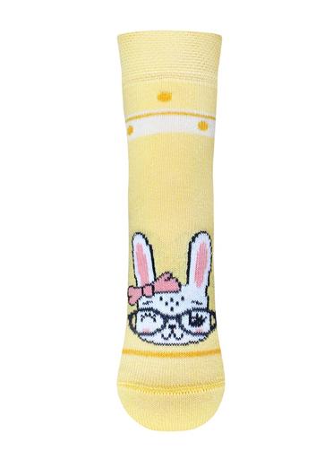 Брестские Носки детские 308115-16