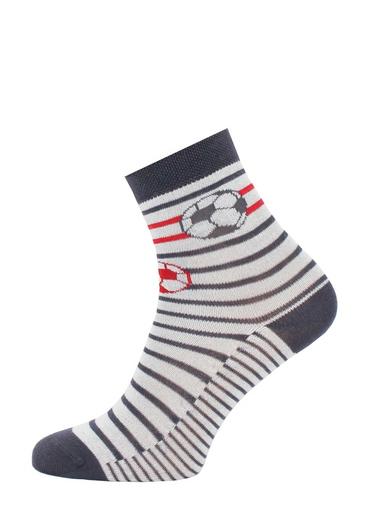 Брестские Носки детские 3081 SCHOOL (с рисунком)19-20