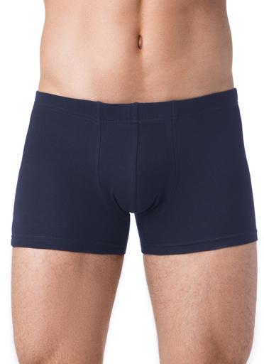 Брестские Трусы мужские ALFA BOXER 16С6300110,114/XXL