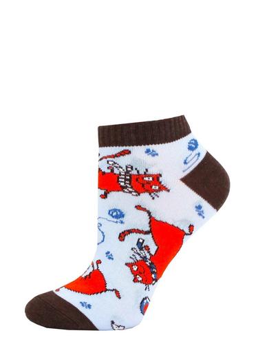 Брестские Носки детские 3087 SCHOOL (с рисунком)19-20