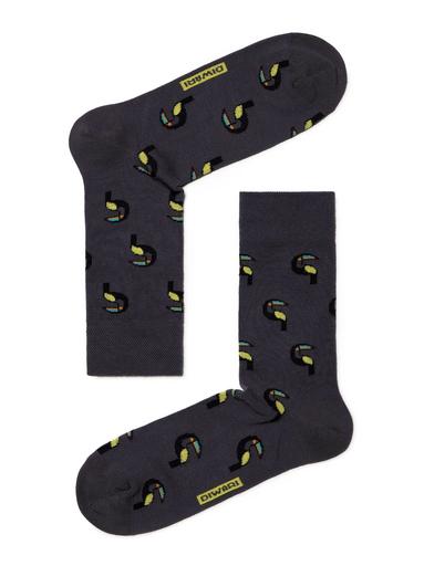 DIWARI HAPPY Хлопковые носки с рисунками "Туканы"44-45