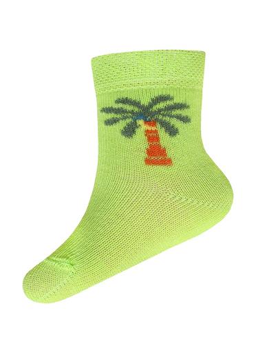 Брестские Носки детские 3081 BABY (с рисунком)