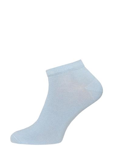 Брестские Носки мужские 2136 CLASSIC (укороченные)42-43