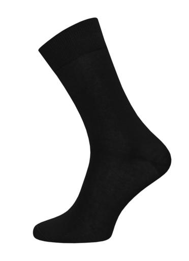 Брестские Носки мужские 2005 CLASSIC (мерсеризованный хлопок)42-43