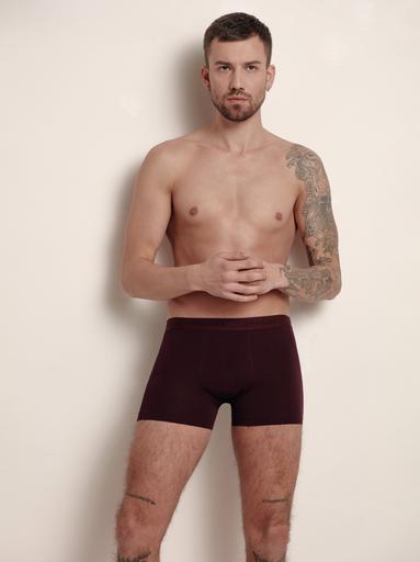 DIWARI PREMIUM MSH 1568 Хлопковые трусы-шорты мужские (в коробке)86,90/M