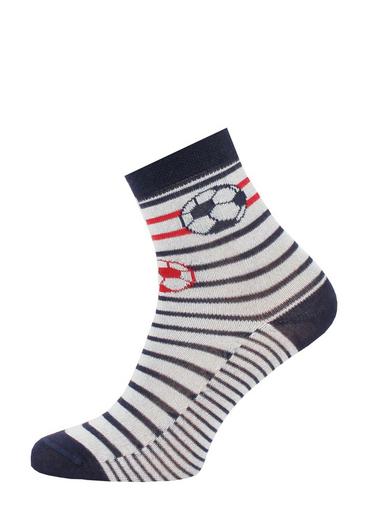 Брестские Носки детские 3081 SCHOOL (с рисунком)17-18