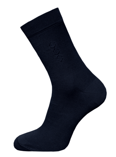 Брестские Носки мужские 2223 BASIC (мультифибра)46-47