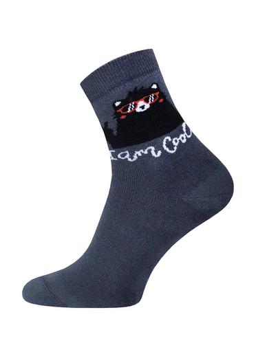 БРЕСТСКИЕ НОСКИ ДЕТСКИЕ 3060 SCHOOL (рисунок)23-24