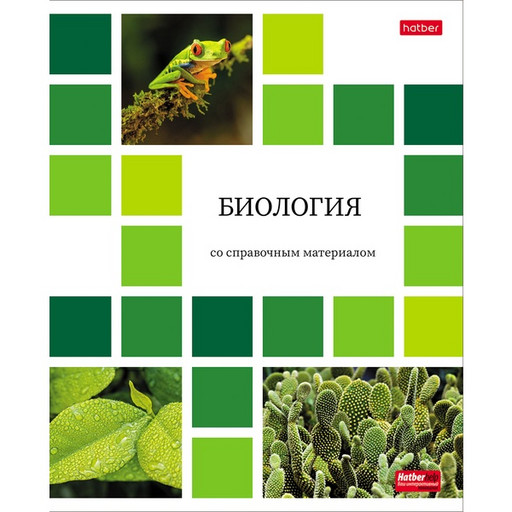 Тетрадь предметная 48 л., клетка, 65 г/м², мел. бумага, Hatber Цветная мозаика_Биология