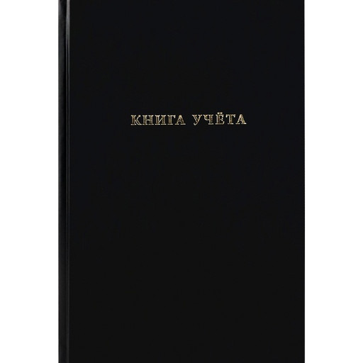 Книга учета 96 л., клетка, бумвинил, Prof-Press Черный, тисн. фольгой*