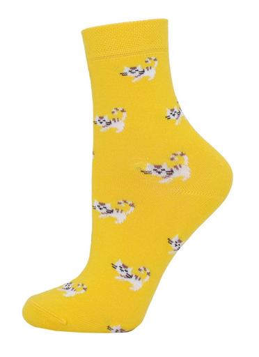 Брестские Носки детские 3081 SCHOOL (с рисунком)17-18