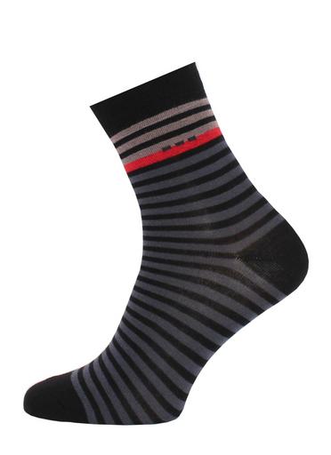 Брестские Носки детские 3081 SCHOOL (с рисунком)21-22